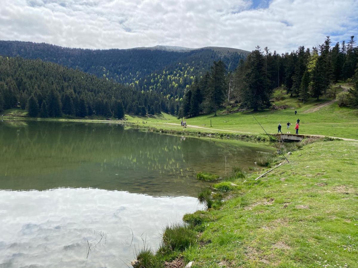 Gite Chaleureux Au Lac De Payolle Campan Exterior photo